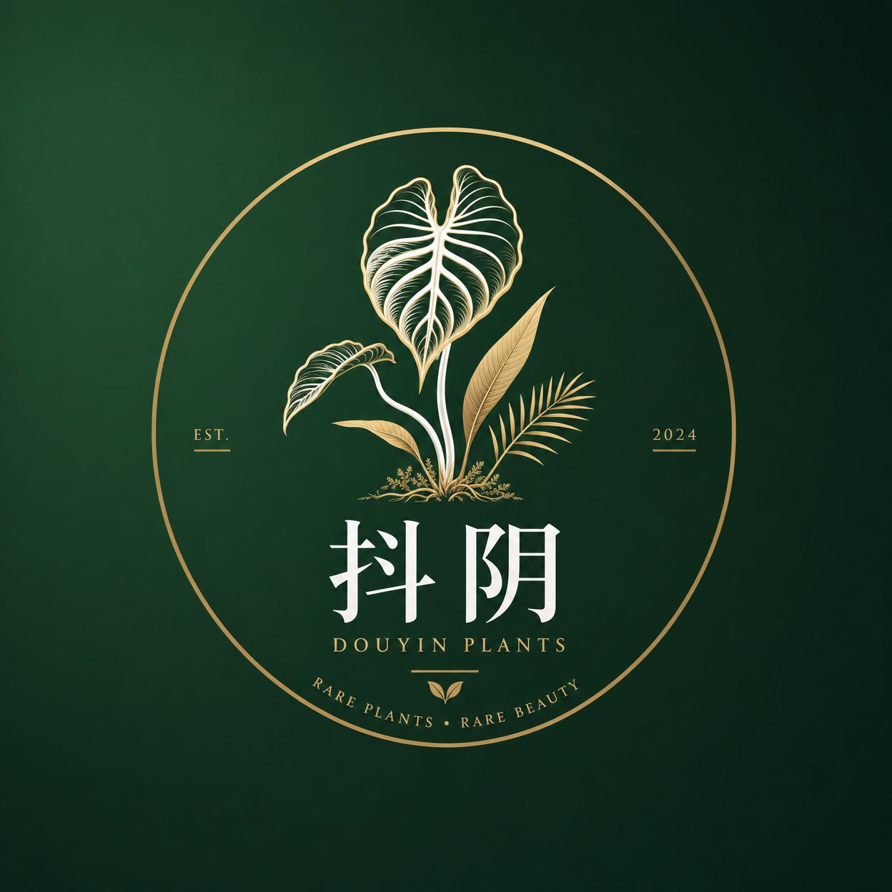抖阴